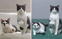 Seniman Jepang bernama Meetissai bikin patung dari foto lucu hewan.