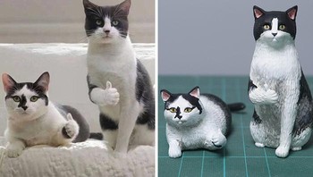 Mantap! Foto: Bored Panda