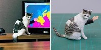 Seniman Jepang bernama Meetissai bikin patung dari foto lucu hewan.