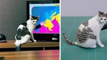 Nggak gitu juga sih. Foto: Bored Panda