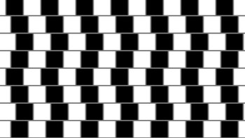 Muncul di tahun 1970-an, garis-garis di sini tampak tidak lurus. Coba tutup kotak hitam dan putih, maka sebenarnya semuanya lurus. Foto: Insider