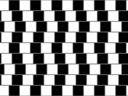 Ilusi Optik Klasik Ini Membingungkan Mata dan Pikiran