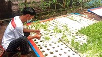 Sampai saat ini dirinya sudah menanam berbagai tanaman Hidroponik seperti tanaman pakcoy, dan tanaman kangkung. Namun, saat ini dirinya lebih memfokuskan untuk menanam tanaman kangkung.