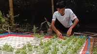 Remaja asal Dusun Pamarisen, Desa Mekarjaya, Kecamatan Sumedang Utara ini mengaku omset saat  ini mencapai omzet jutaan rupiah.
