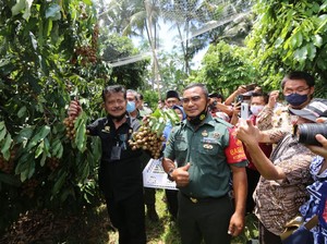 Mentan: Kita Dorong Terus Kawasan Buah Lokal Bisa Dikembangkan