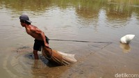 Beberapa pencari cacing ini kerap menemui kendala seperti menginjak beling atau benda tajam di dalam lumpur.