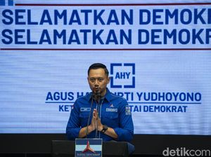 Elite PD Beberkan Pendirian Partai, Ungkit Cerita soal Megawati-Gus Dur