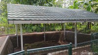 Dari 10 situs yang ada, 9 pengelolaannya berada di bawah Balai Konservasi Borobudur (BKB), yaitu Candi Borobudur, Pawon dan Mendut. Kemudian, Situs Dipan, Brongsongan, Bowongan, Samberan, Plandi dan Kompleks Makam Belanda (Kerkhoff). (Eko Susanto/detikTravel)