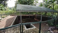 Situs-situs yang berada di sekitar budaya Borobudur, semuanya berasal dari zaman yang sama, yaitu pada masa Mataram Kuno. Ketika itu, kerajaan Mataram Kuno tidak hanya beragama Buddhis, ada juga Hindu. (Eko Susanto/detikTravel)