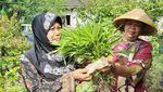 Di Desa Ini Sampah Plastik Diubah Jadi Bahan Bakar