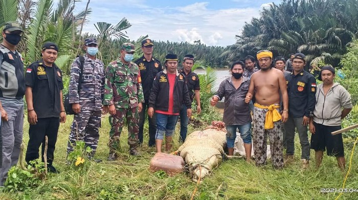 Libatkan Pawang, Begini Pencarian Bocah di Kaltim Diterkam Buaya 6 Meter