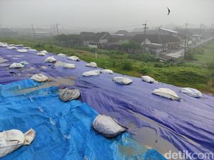 Tanggul Penahan Lumpur Sidoarjo Ditutup Terpal, Warga Cemas Ambles