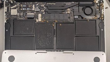 Hiii, kok bisa-bisanya ada banyak laba-laba di dalam laptop? Foto: Bored Panda