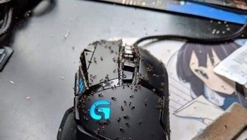 Ini akibatnya kalau membersihkan mouse pakai limun lalu ditinggal dua hari. Foto: Bored Panda