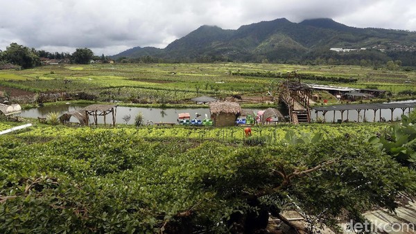 Makanan di tempat ini dijual dalam bentuk ala carte dengan harga terjangkau, atau bisa juga dipesan dalam porsi besar untuk rombongan jika dibutuhkan. Selain menu bakaran dan paket untuk rombongan, The Roudh 78 juga bermitra dengan para pelaku usaha kecil di sekitar Malang dengan menjajakan panganan-panganan tradisional. Salah satunya Cendol Dawet Sagu Khas Dusun Lasah juga wedang angsle dan bakso malang. Makanan di tempat ini dijual dalam bentuk ala carte dengan harga terjangkau, atau bisa juga dipesan dalam porsi besar untuk rombongan jika dibutuhkan. Selain menu bakaran dan paket untuk rombongan, The Roudh 78 juga bermitra dengan para pelaku usaha kecil di sekitar Malang dengan menjajakan panganan-panganan tradisional. Salah satunya Cendol Dawet Sagu Khas Dusun Lasah juga wedang angsle dan bakso malang.