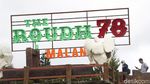 Mengintip Wisata The Roudh 78 Malang