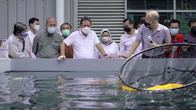 Pusat Koi dan Maskoki Nusantara Diresmikan di Cibinong