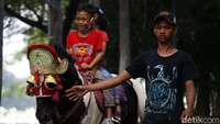 Di masa pandemi COVID-19 jasa sewa kuda tunggang tetap bertahan.