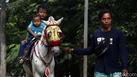 Para tukang sewa kuda tunggang, memanfaatkan keramaian warga yang berolahraga pagi.