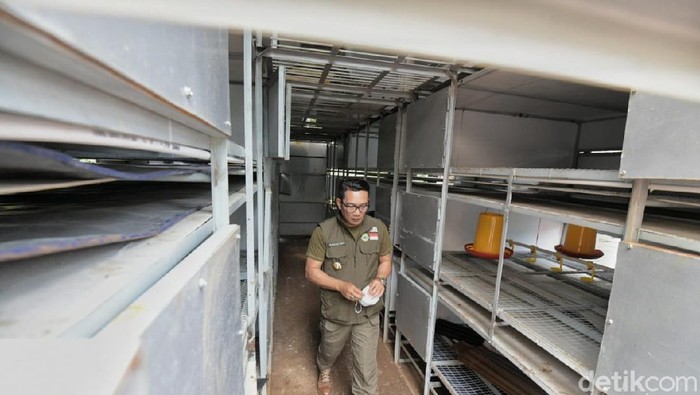 Ridwan Kamil memperkenalkan apartemen ayam di Badung