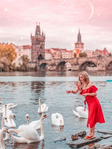 Travel influencer Stella Lee bisnis filter preset.