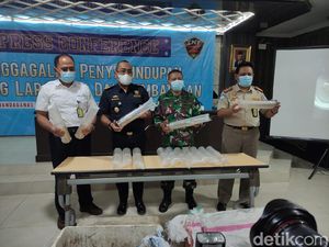Penyelundupan Puluhan Ribu Ekor Benih Lobster Senilai Rp 2,9 Milliar Digagalkan