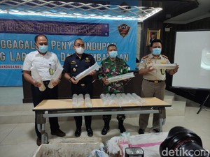 Penyelundupan Puluhan Ribu Ekor Benih Lobster Senilai Rp 2,9 Milliar Digagalkan