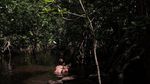 Kiprah Para Wanita Pelindung Hutan Perempuan di Papua
