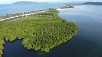 Terkait dengan larangan masuknya laki-laki ke kawasan Hutan Perempuan, Mama Ani mengatakan bahwa laki-laki hanya diizinkan masuk ke Hutan Perempuan untuk mengambil kayu guna keperluan rumah tangga dan di saat tidak ada perempuan di dalam hutan tersebut. Laki-laki tak diizinkan memasuki hutan bila ada perempuan yang tengah beraktivitas di dalamnya. Hal itu dibenarkan oleh John Sanyi, Ondoafi atau kepala dewan adat Kampung Enggros. Istimewa/Alfonso Dimara/Dok. BBC Indonesia.