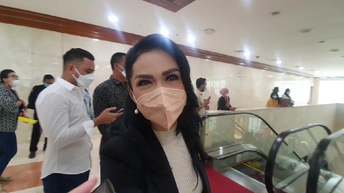 Anggota DPR Fraksi PDIP, Krisdayanti (KD).