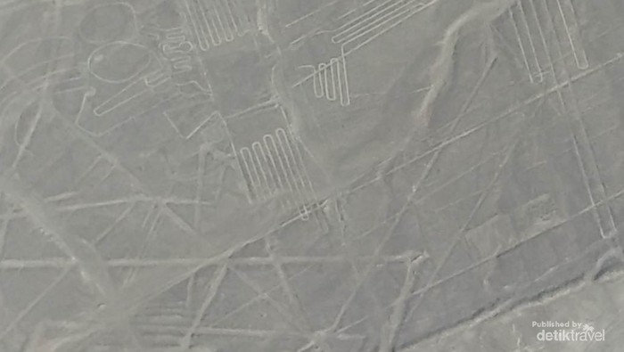Gariz Nazca The Hummingbird