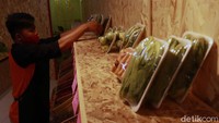 Irfan menyebut, mengusung konsep seperti memetik sayur di kebun sendiri, karena sayur yang dijual di tempatnya masih segar dan fresh.