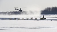 Perlombaan yang berjarak 1850 kilometer dari Anchorage ke Nome di Alaska pantai barat dan dikenal dengan nama balapan Iditarod.