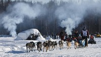 Iditarod sudah menjadi tradisi di Alaska, sejak daerah ini masih belum menjadi negara bagian Amerika. Ketika itu, kereta-luncur yang dihela anjing dipergunakan mengangkut barang perbekalan ke kamp-kamp pertambangan yang letaknya terkucil.