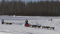 Perlombaan tahunan terpanjang di dunia kereta luncur yang dihela anjing dengan resmi telah dimulai di jalan-jalan yang ditutup salju di Anchorage, ibukota Alaska.