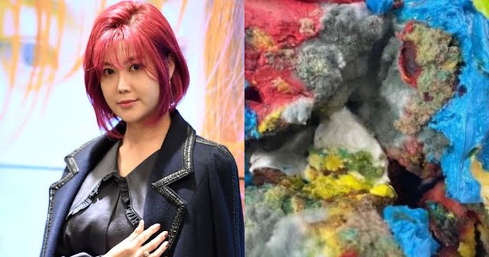 Solbi Idol Kpop Minta Maaf karena Produk Kuenya Dikritik Berjamur