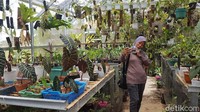 Pengunjung berfoto di dalam taman.