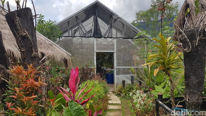 Tondok Bakaru Orchid di Mamasa