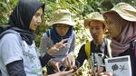 Potret Ayu Berjuang Selamatkan Keberadaan Owa Jawa