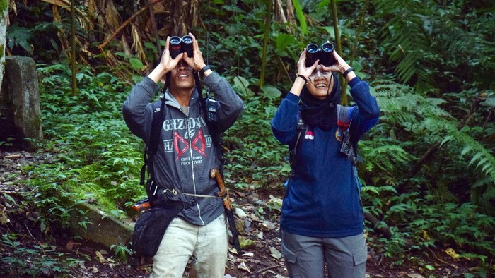 Upaya Ayu Berjuang Menyelamatkan Keberadaan Owa Jawa Sosok Ayu yang bernama lengkap Rayahu Oktaviani adalah seorang Primatologis dan edukator dalam upaya penyelamatan satwa primata Owa jawa (Hylobates moloch).
