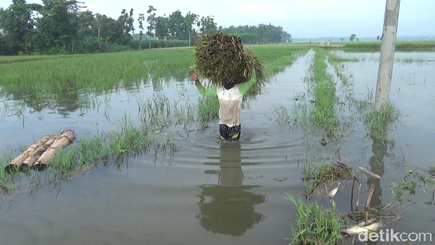 banjir di lumajang