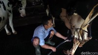 detikcom bersama BRI mengadakan program Jelajah UMKM ke beberapa wilayah di Indonesia yang mengulas berbagai aspek kehidupan warga dan membaca potensi di daerah. Untuk mengetahui informasi lebih lengkap, ikuti terus beritanya di detik.com/tag/jelajahumkmbri.