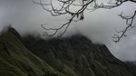 Indahnya Pesona Sembalun di Lereng Rinjani