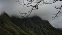 Hamka Abdul Malik salah satu penggagas Komite Sembalun Seven Summits menyatakan konsep wisata pendakian ini menyasar target wisatawan yang suka berpetualang dan suka akan tantangan.  
