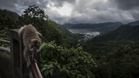 Ide Sembalun Seven Summits dicetuskan sejak 25 Oktober 2020 oleh Komite Sembalun Seven Summits (S7S) yang merupakan kumpulan pemuda dan pelaku wisata petualangan yang berdomisili di Sembalun.  
