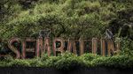 Indahnya Pesona Sembalun di Lereng Rinjani