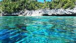 Eksotisme Bahari Pulau Friwen Raja Ampat