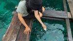 Eksotisme Bahari Pulau Friwen Raja Ampat