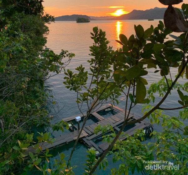 menikmati view laut dari atas puncak Friwen Wall