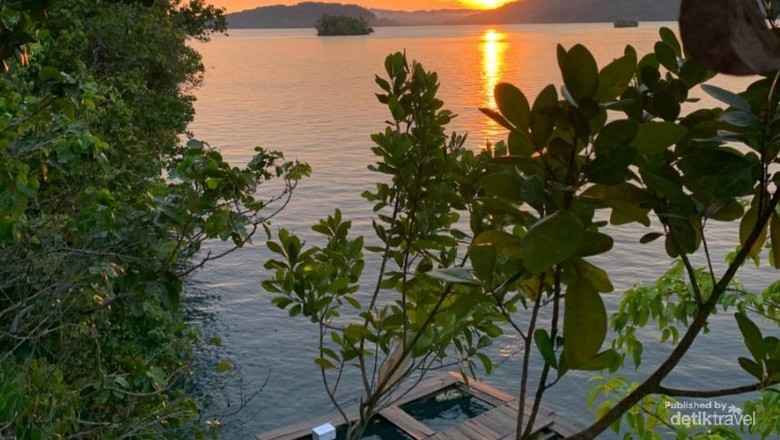 Eksotisme Bahari di Pulau Friwen Raja Ampat menikmati view laut dari atas puncak Friwen Wall